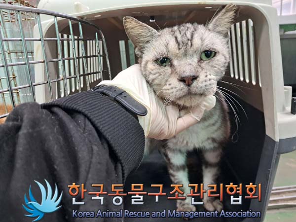 한국동물구조관리협회_441409202401129